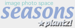 seasons★plantz!