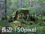 150pixel